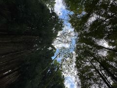 -山王坪喀斯特国家生态公园