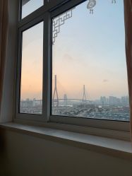 -复旦大学附属妇产科医院(杨浦院区)