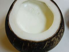 -志龙皇冠吃货椰子铺
