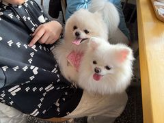 -小意思咖啡店(草桥店)