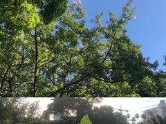 -奥冠恒温游泳馆(黄埔公园店)