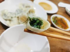 茴香猪肉-山东水饺(南坪新街店)