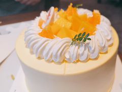 -维尔纳斯·生日蛋糕·动物奶油冰淇淋蛋糕(六里桥店)