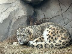 -青藏高原野生动物园