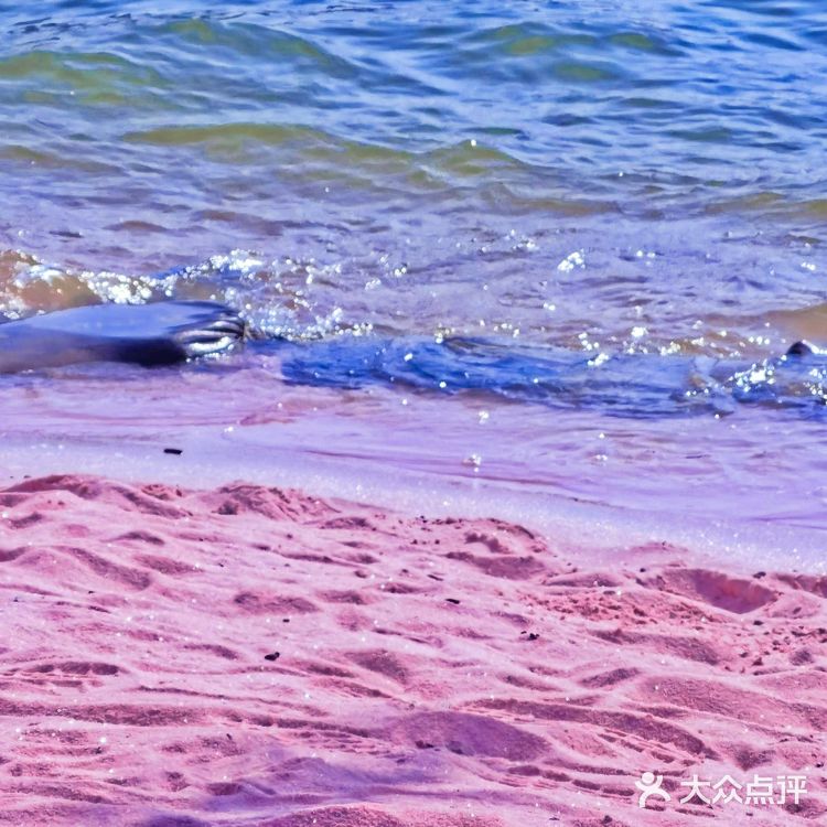 在四川也有海岛   属于四川的【马尔代夫】🏖