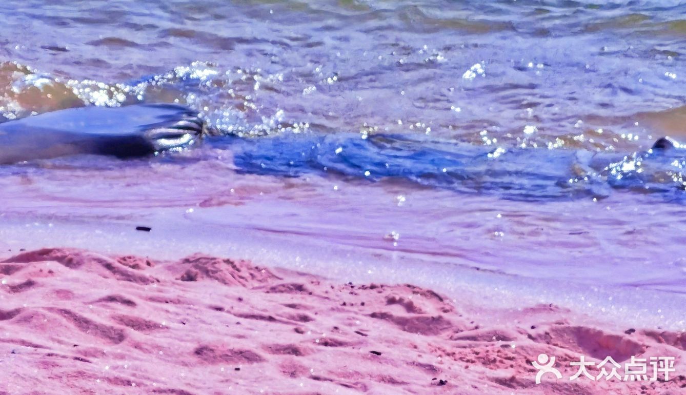 在四川也有海岛   属于四川的【马尔代夫】🏖