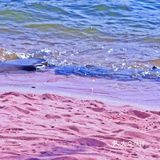 在四川也有海岛   属于四川的【马尔代夫】🏖