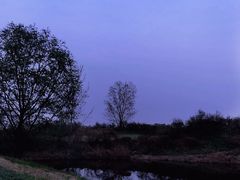 -渭河城市绿地运动公园