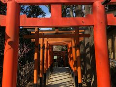 -上野公园花园稻荷神社(忍岡稲荷神社)