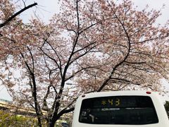 -上海南浦大桥长途旅游客运站