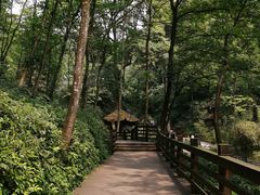 -青城山
