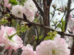 -观澜湖生态运动公社