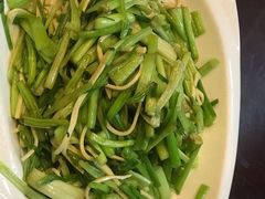-丁老爷子苏香圆