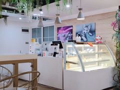 -Husky Go! 哈士奇体验馆·宠物咖啡厅狗咖