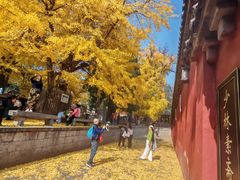 -少林寺欢喜地素斋馆