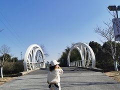 -菊园百果园