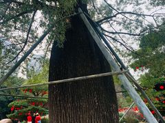-南宁南湖公园