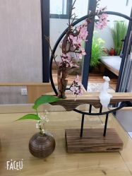 -翎兰瑜伽·普拉提