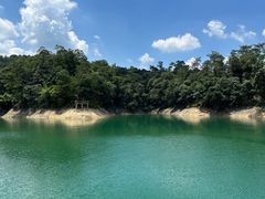 -广州市流溪河国家森林公园