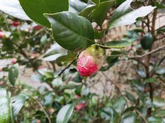 -宁波五龙潭景区