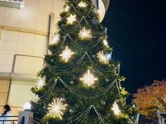 -新世界百货(明洞总店)