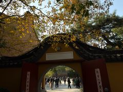 -龙华素斋(龙华路店)