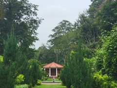 -槟城植物园