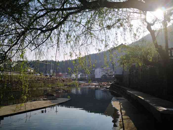 芝林村-"本来是去这村里吃农家菜的,发现环境是真的."-大众点评移动版