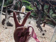 -熊猫自助餐厅.萌趣城堡(长隆熊猫酒店)