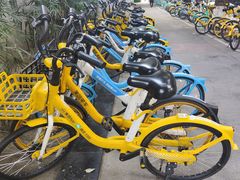 -四川大学(华西校区)