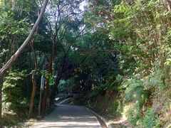 -南岗山公园