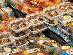 -洛阳郁金香牡丹园