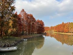 -上海海湾国家森林公园