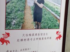 -天怡·鱼工厂(梅溪湖店)