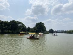 -南宁花花大世界景区