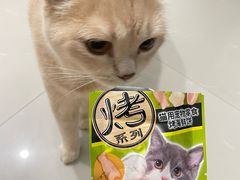 -Olé精品超市(海上世界店)