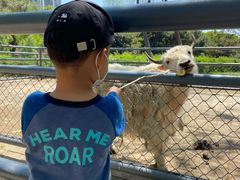 -长白岛森林公园