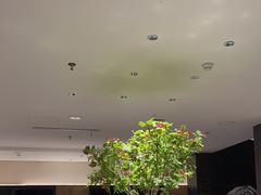 -胡大饭馆 24h(簋街总店)