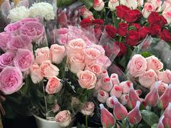 -桂林市花鸟市场