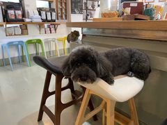 -唐咖精品咖啡(大理古城手冲店)