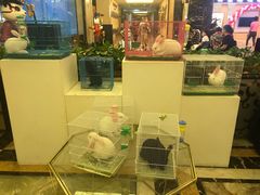 -碧桂园凤凰城酒店(南京店)