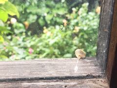 斯多格书乡咖啡馆-斯多格书乡(北京大学畅春园店)