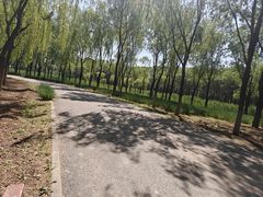 -东郊湿地公园