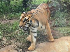 -昆明动物园