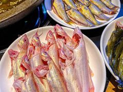-石锅苗苗鱼(武汉首店)