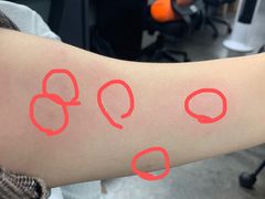 -more than meow吴止猫主题餐厅(承德 中船汇店)