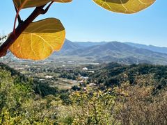 -大觉寺-停车场