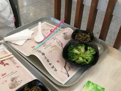 -东方既白(上海浦东国际机场)