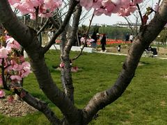 -江南大学(蠡湖校区)