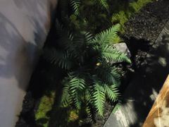 -唐宫足道·SPA·住宿24H会所(木渎店)